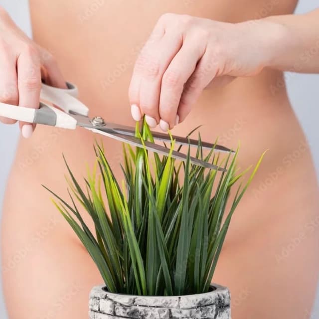Brazilian Wax pkg 4 at Zen Spa in Douglas, WY